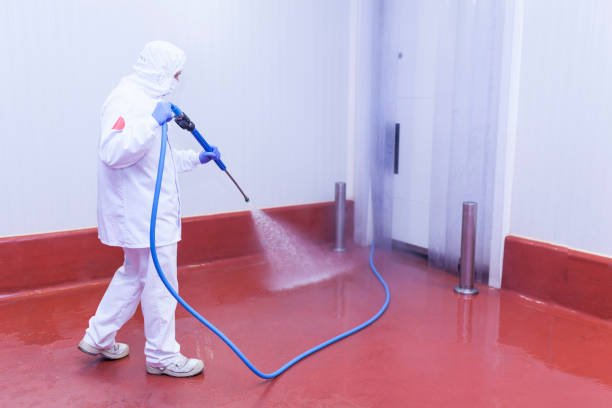 Reliable China Lake Acres, CA Pressure Washing Services Solutions